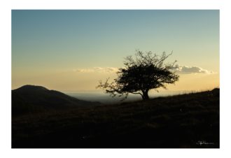 Sylvain Rouvier Photographie