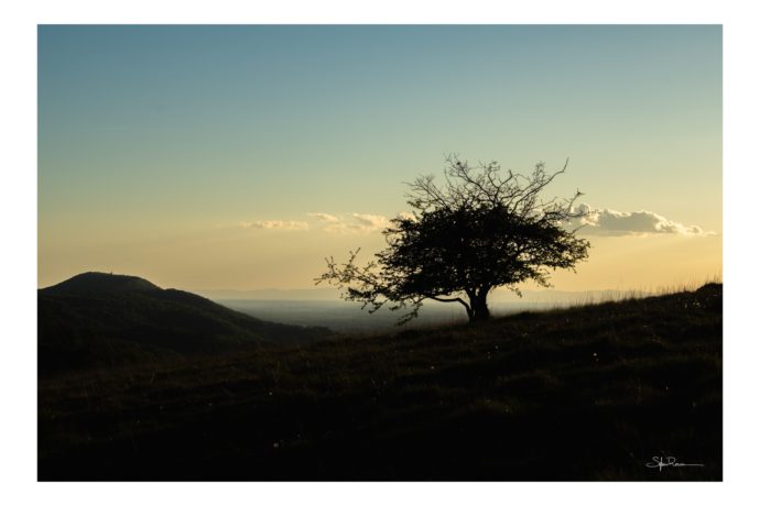 Abre au coucher de soleil