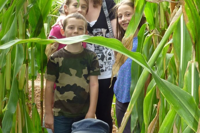 Activité en Bourgogne Franche Comté