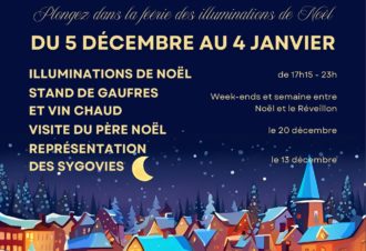 Illuminations de Noël
