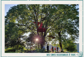 Terres et Cimes – grimpe d&rsquo;arbres & animations nature
