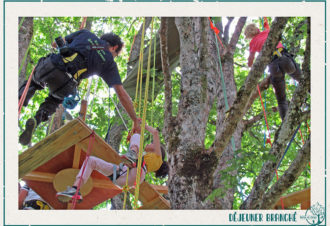 Terres et Cimes – grimpe d&rsquo;arbres & animations nature