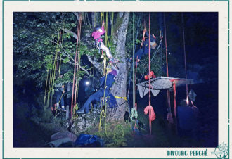 Terres et Cimes – grimpe d&rsquo;arbres & animations nature