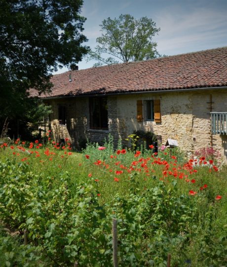 Gîte de l’Arbre-Lune