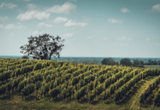 Aire de Camping Car de La Caborde