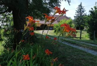 Gîte de la Corne au Cerf