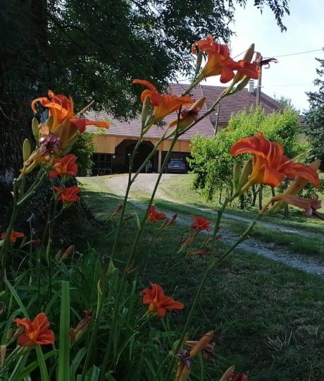Gîte de la Corne au Cerf