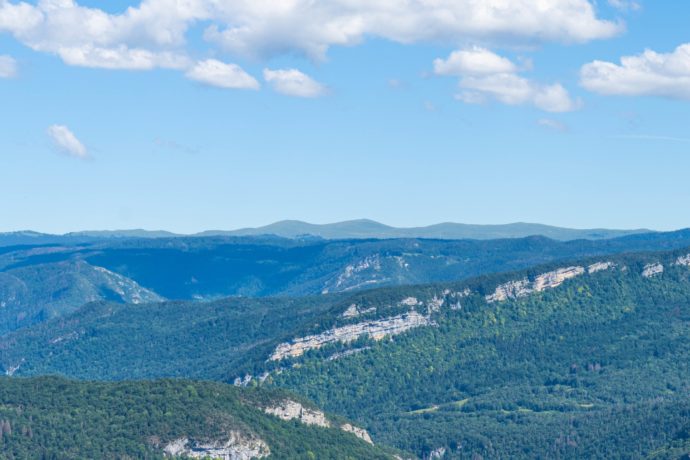 BELVEDERE_SCIA_JUILLET_2024_©HJSC (11)