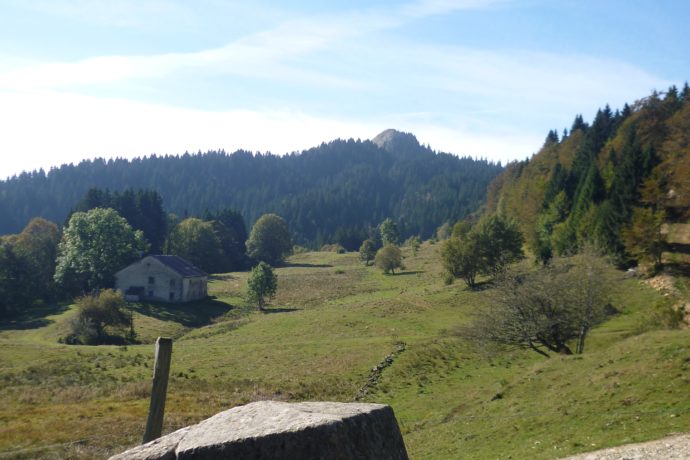 BORNE_LION_OCTOBRE_©ZELIE_DECONFIN (3)