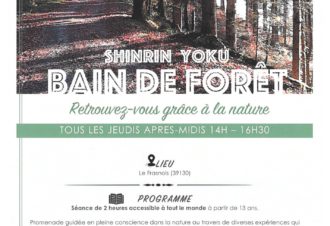 Bain de forêt (Shinrin yoku)