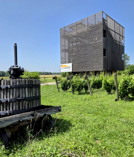 La Caborde, aire viti-culturelle