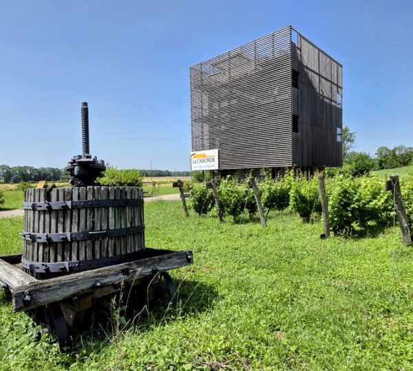 La Caborde, aire viti-culturelle