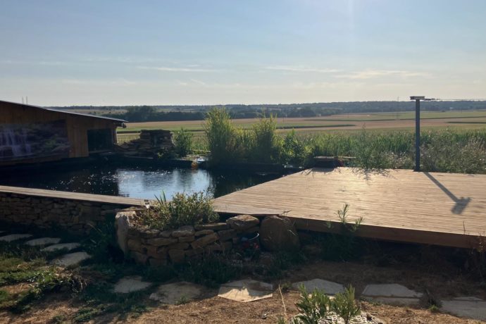 Bassin à poisson