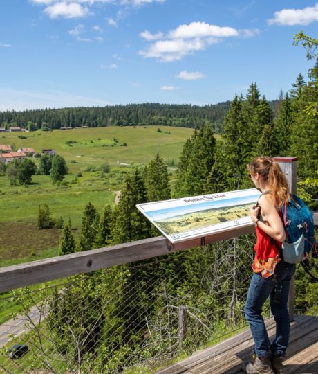 Le belvédère Sur le Fort