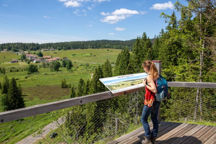Belvédère sur le fort 5