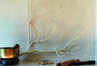 Lons Yoga Studio – Le LYS