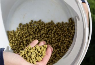 Brasserie The baboon