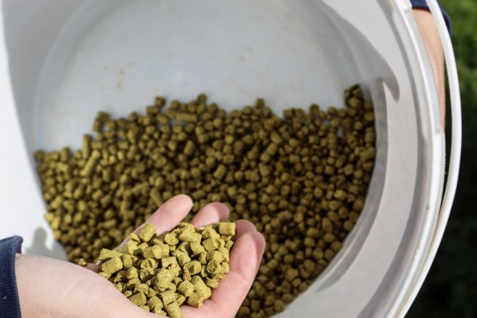 Brasserie_La_Baboon(Poligny_automne_2025)@Salomé Robin_Jura Tourisme_ (49)