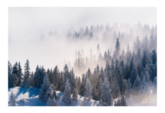 Sylvain Rouvier Photographie