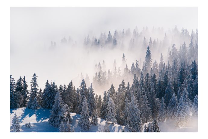 Brume au sommet de la Dole – Jura