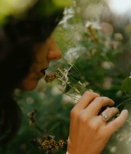 La bulle à parfums & jardin parfumé