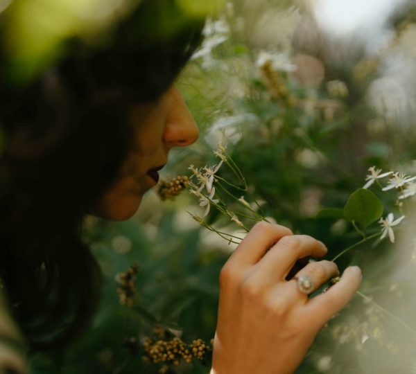 La bulle à parfums & jardin parfumé