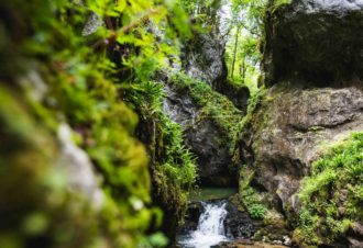 Les Gorges de l’Abîme