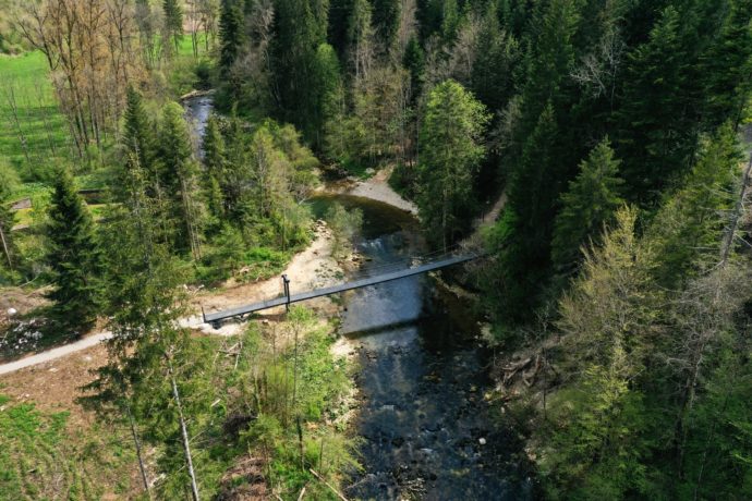 Passerelle de la source de l’Ain 1