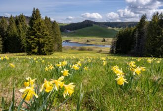 Lac de l’Embouteilleux
