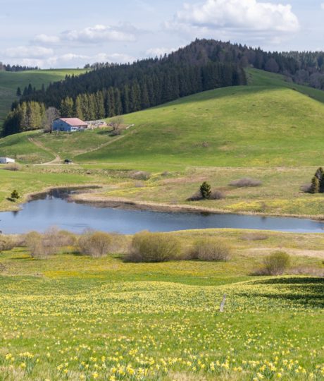 Lac de l’Embouteilleux
