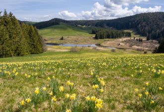 Lac de l’Embouteilleux
