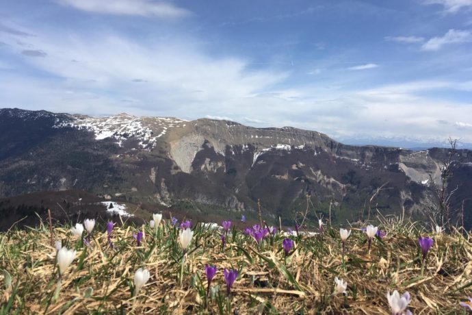 CRET_CHALAM_PRINTEMPS_©CYNTHIA_MERCE (1)
