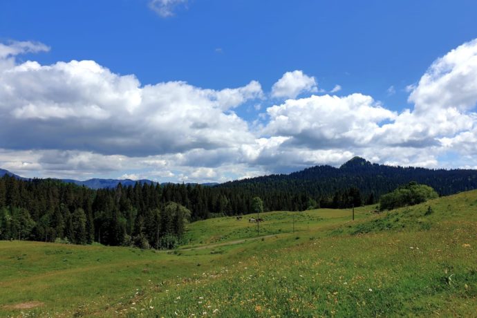 CRET_NERBIER_ETE_©HJSC (4)