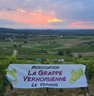 Capture d’écran 2025-08-17 142914