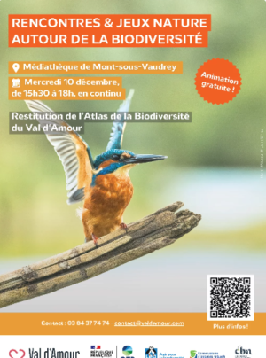 Capture d’écran 2025-11-19 120326