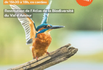 Rencontres et jeux nature autour de la biodiversité