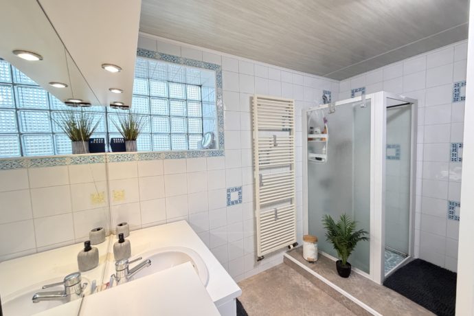Salle de bain #1 (en bas)
