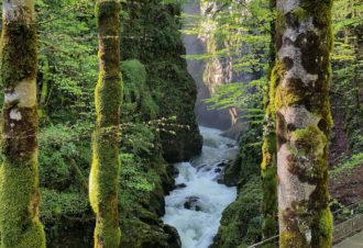 Maison des 3 bois – Gîte Chez Nicolas
