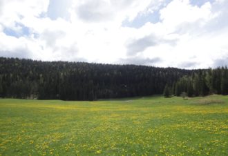 Centre de vacances de la ville de Longuenesse