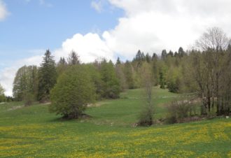 Centre de vacances de la ville de Longuenesse
