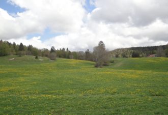 Centre de vacances de la ville de Longuenesse