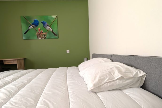 Chambre verte 1 – Le Nid des Anges
