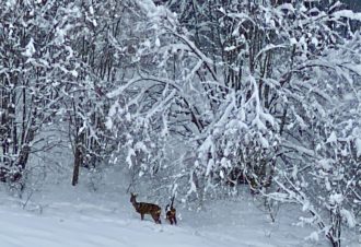 Maison de Gouland – Christian Bourquard