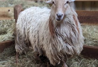 La Bergerie du Champ Devant