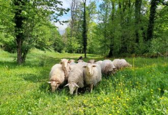 La Bergerie du Champ Devant