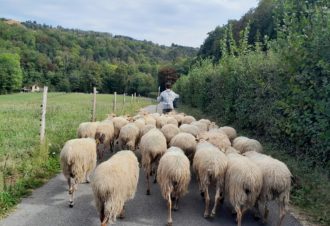 La Bergerie du Champ Devant