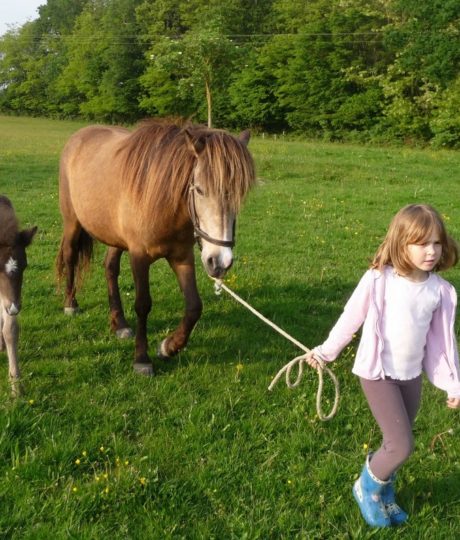 Domaine de la Loge – École d&rsquo;équitation