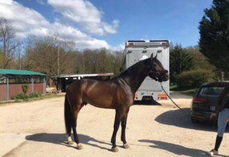Centre équestre de la Forêt de Chaux