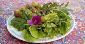 Ciboulette—cie-8-1200×616