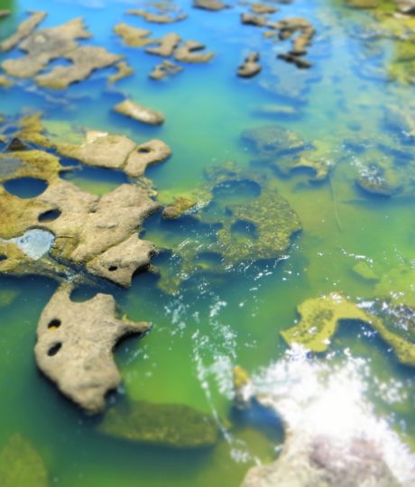 Le Saut de la Saisse et les Marmites de Géants